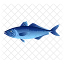 Tunny Fish  Icon