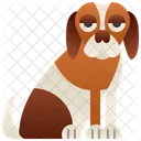 Turco  Ícone