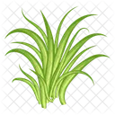 Turfgrass  Icon