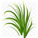 Turfgrass  Icon