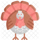 Turkey  Icon