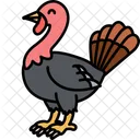 Turkey Chicken Animal Icon