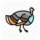 Turkey Bird Color Icon