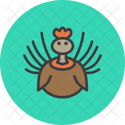 Turkey  Icon