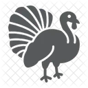 Turkey Bird Animal Icon