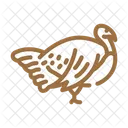 Turkey Bird  Symbol