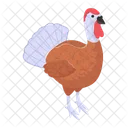 Turkey Bird Thanksgiving Icon