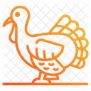 Turkey Cock Icon