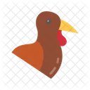 Turkey  Icon
