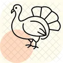 Turkey In Yard Turkey Yard Icon
