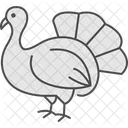 Turkey In Yard Turkey Yard Icon