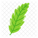 Leaf Ash Leaf Beech Leaf Icon