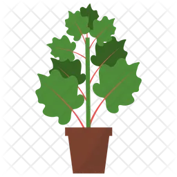Turkey Rhubarb Plant  Icon