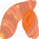 Turmeric  Icon