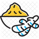 Turmeric Curcuma Longa Ginger Icon