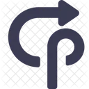 Turn Back Arrow Icon