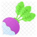 Turnip  Icon