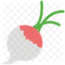 Turnip Rutabaga Vegetable Icon
