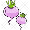 Vegetable Food Turnip Icon