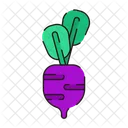 Turnip Fresh Vegetables Icon