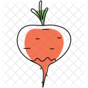 Radish Turnip Organic Icon