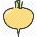 Turnip Food Healthy Icon