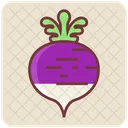 Turnip Radish Root Icon