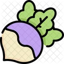 Turnip Vegetable Fiber Icon