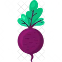 Turnip Vegetable Agriculture Icon