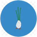순무 뿌리 영양 아이콘