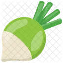 Turnip Vegetable Root Icon