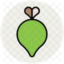 순무 야채 음식 아이콘