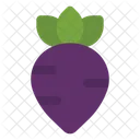 Turnip Radish Vegetables Icon