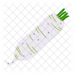 Turnip  Icon