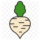 Turnip Vegetable Food Icon