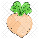 Turnip Vegetable Food Icon