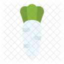 Turnip Vegetable Organic Icon