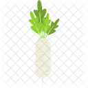 Turnip Vegetables Illustration Icon