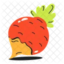 Turnip  Icon