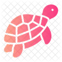 Turtle Sea Life Icon