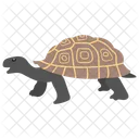Turtle Tortoise Animal Icon