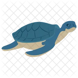 Turtle  Icon