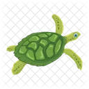 Turtle Icons Flatback Turtle Tortoise Icon