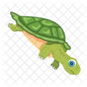 Turtle Icons Flatback Turtle Tortoise Icon