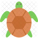 Turtle  Icon