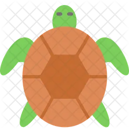 Turtle  Icon