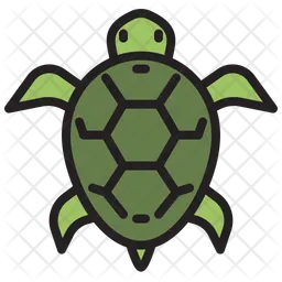 Turtle  Icon
