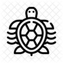 Turtle  Icon
