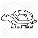 Turtle Reptile Shell Icon