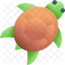 Turtle Animal Sea Icon